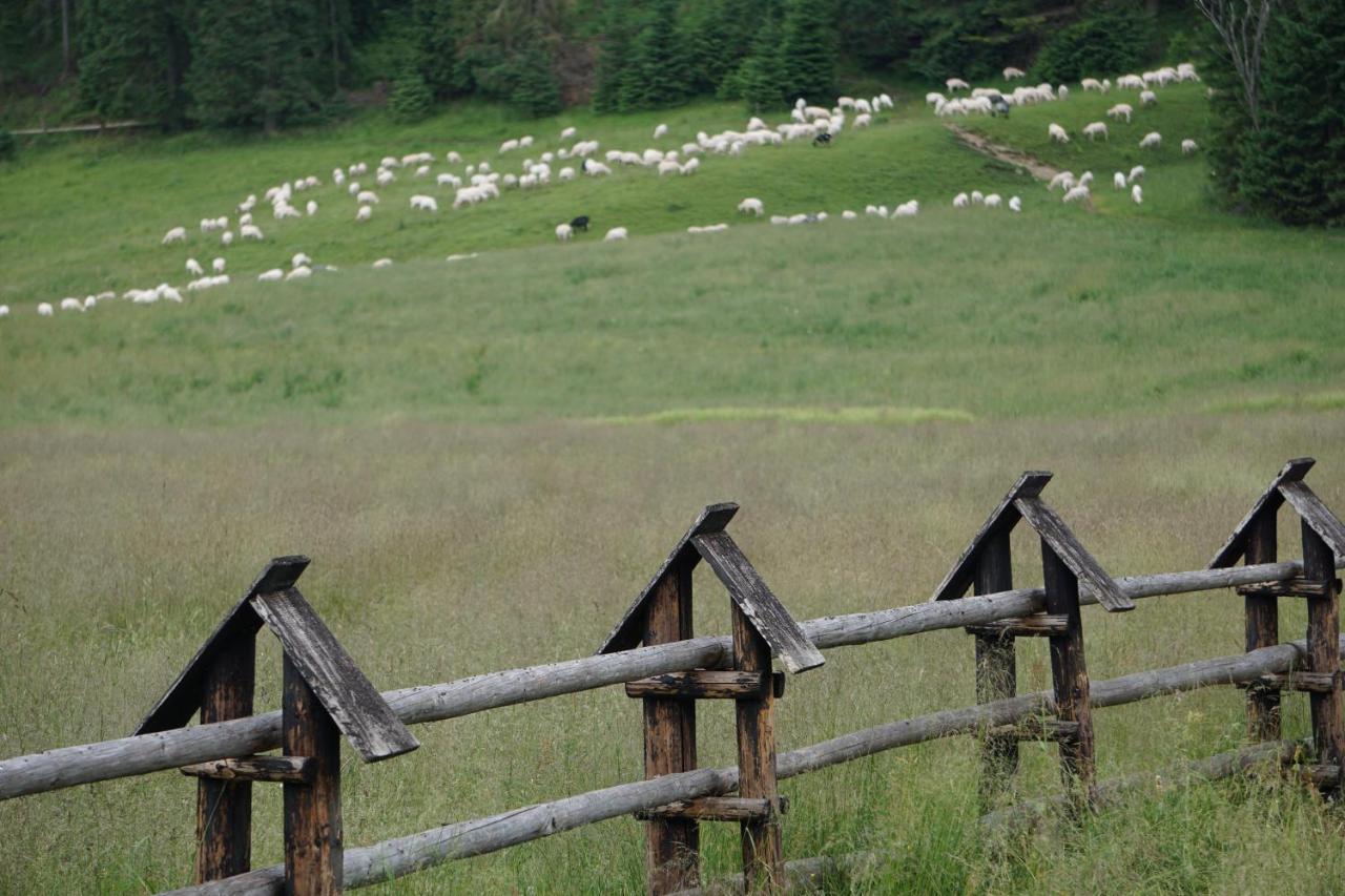 Gorska Magia - Goralskie Domki Premium Kościelisko Dış mekan fotoğraf